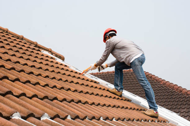 Best Rubber Roofing (EPDM, TPO)  in Middletown, VA