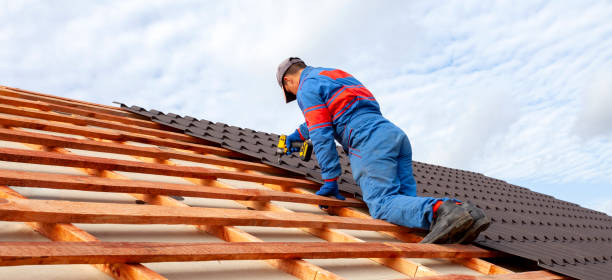 Best Sheet Metal Roofing  in Middletown, VA
